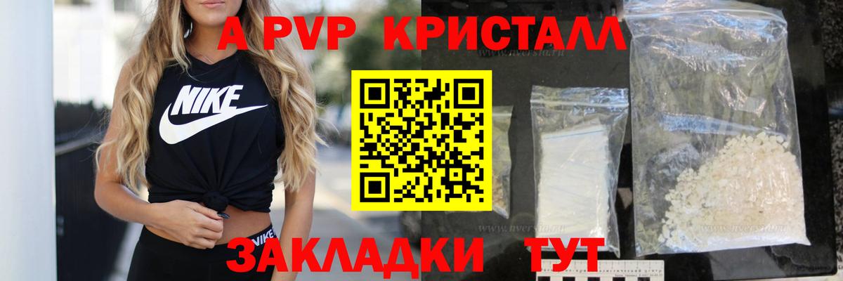 Alfa_PVP СК Павловский Посад