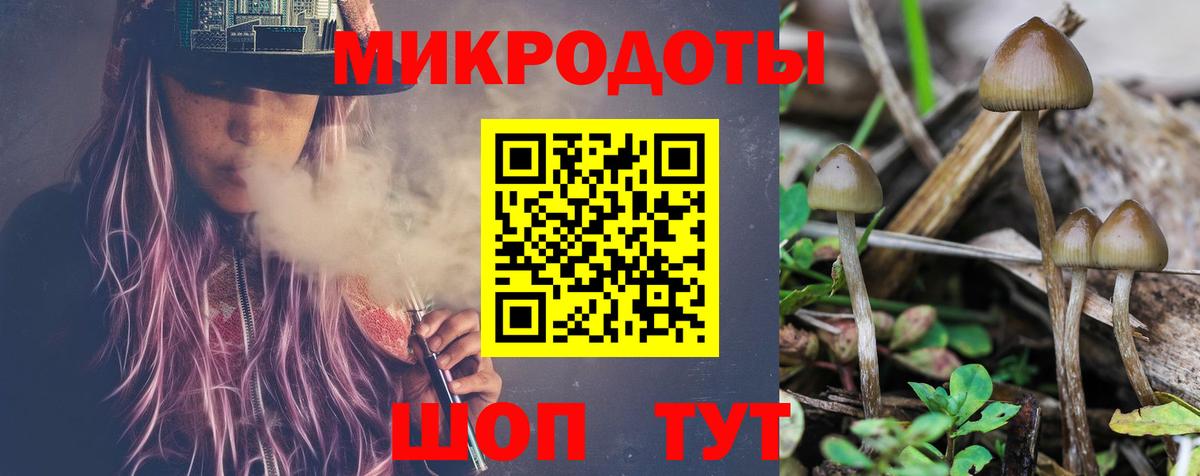 Павловский Посад  Галлюциногенные грибы GOLDEN TEACHER  Вход с VPN 